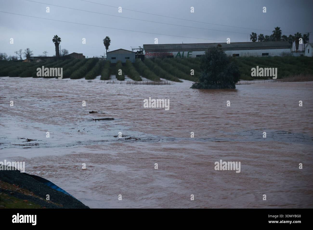 Rain floods several areas of Lora del Río (Seville), which is protected ...