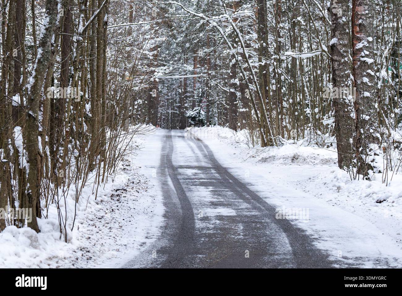Countryside roadway surrounded by trees forest covered in snow on cold winter day. Stock Photo