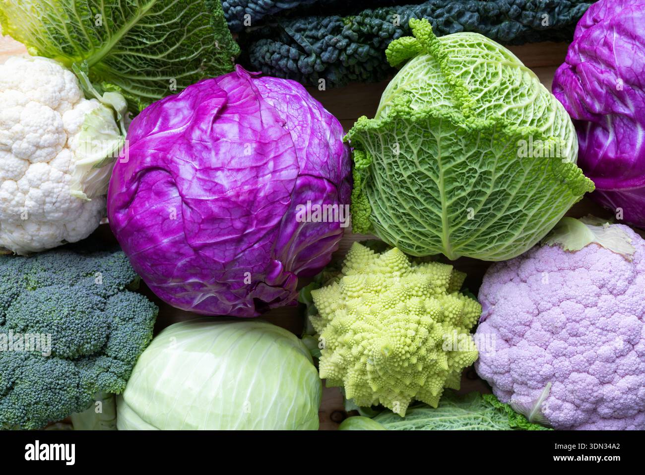 Many different types of cabbage on wood  table Stock Photo