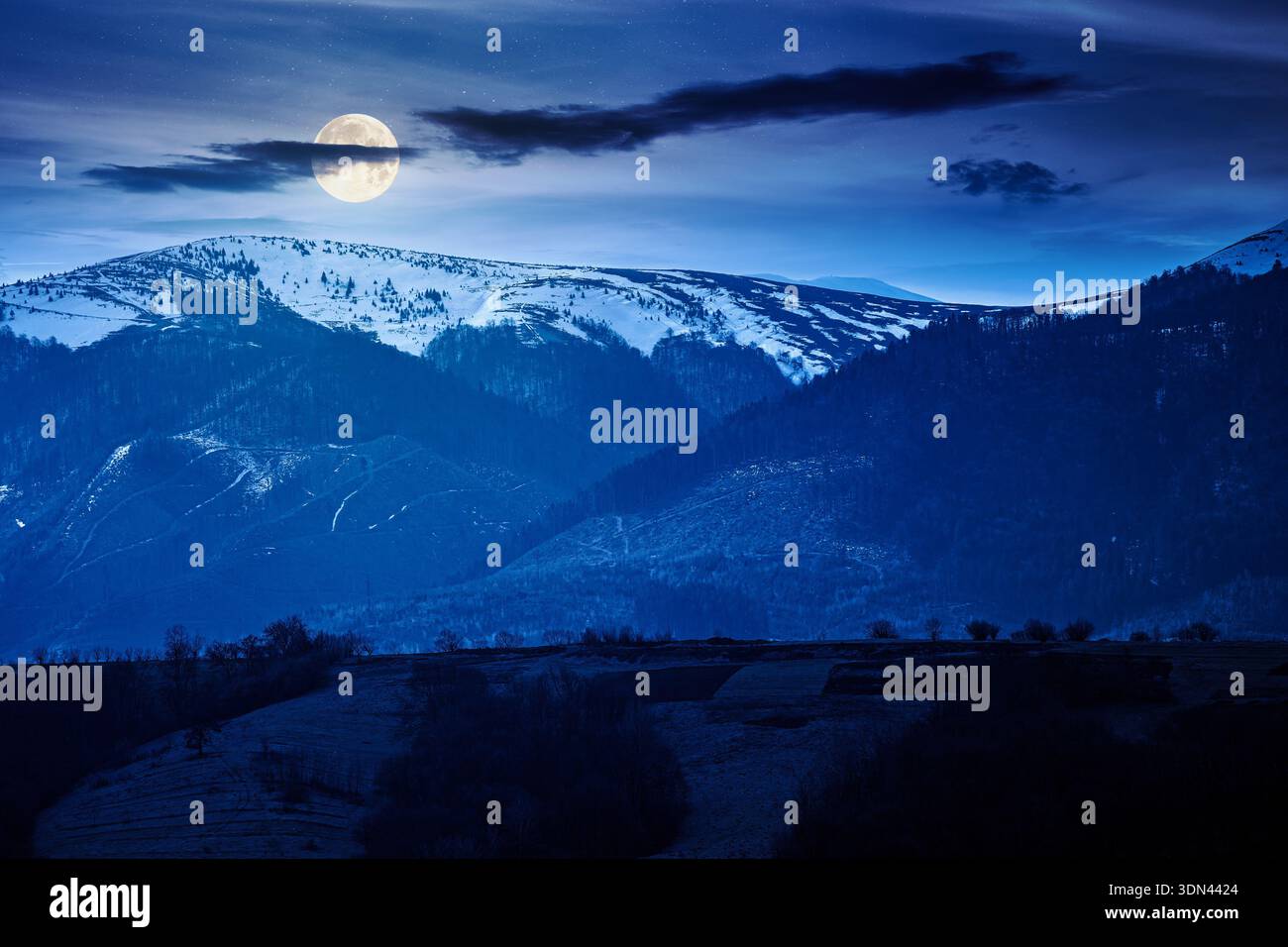 carpathian mountains of ukraine in early spring at night. view of countryside landscape with rolling hills and snow covered peak in full moon light. i Stock Photo