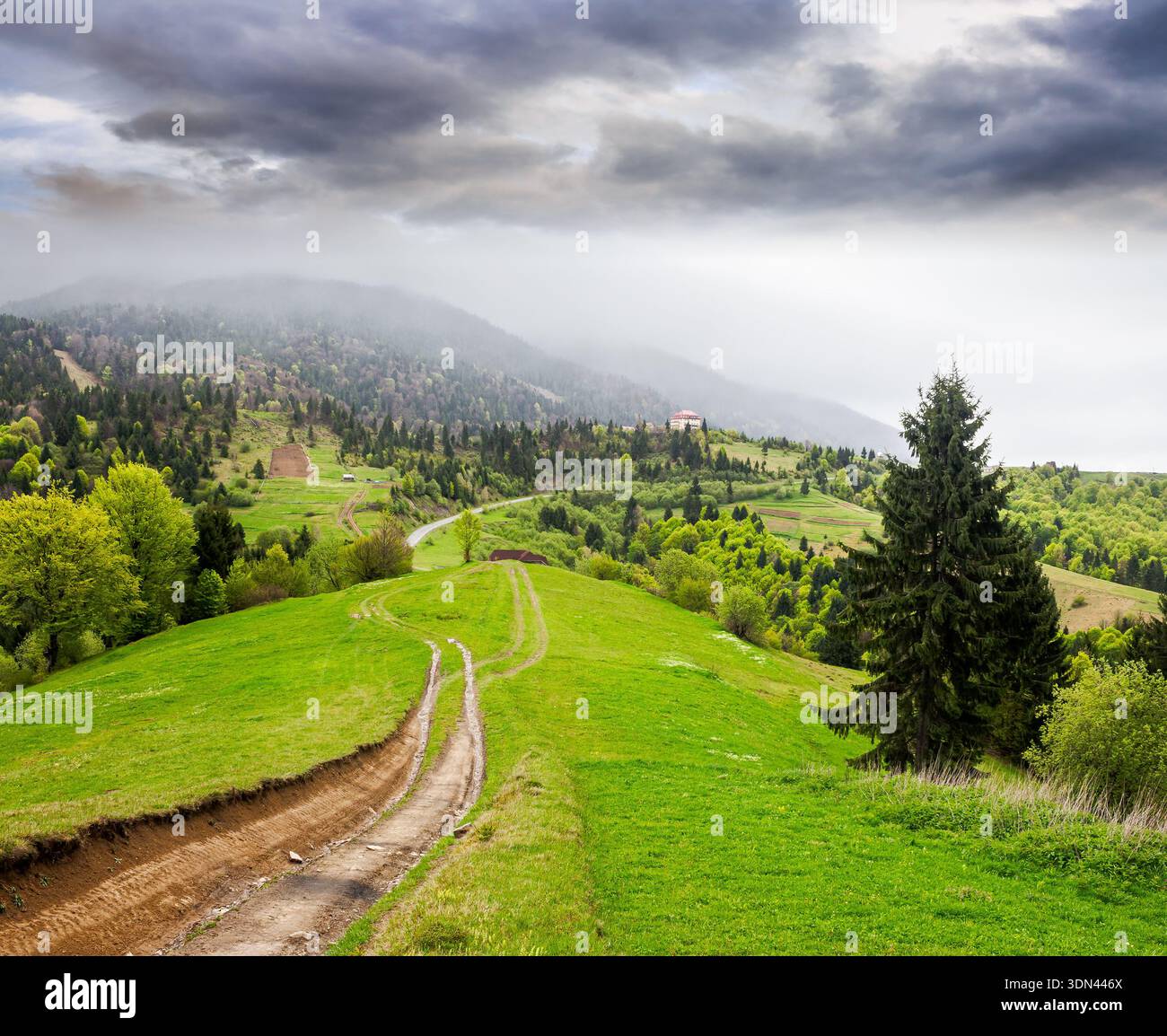 dirt road winding through green rolling hills. rural landscape in carpathian mountain range of ukraine. countryside vista under overcast sky in spring Stock Photo