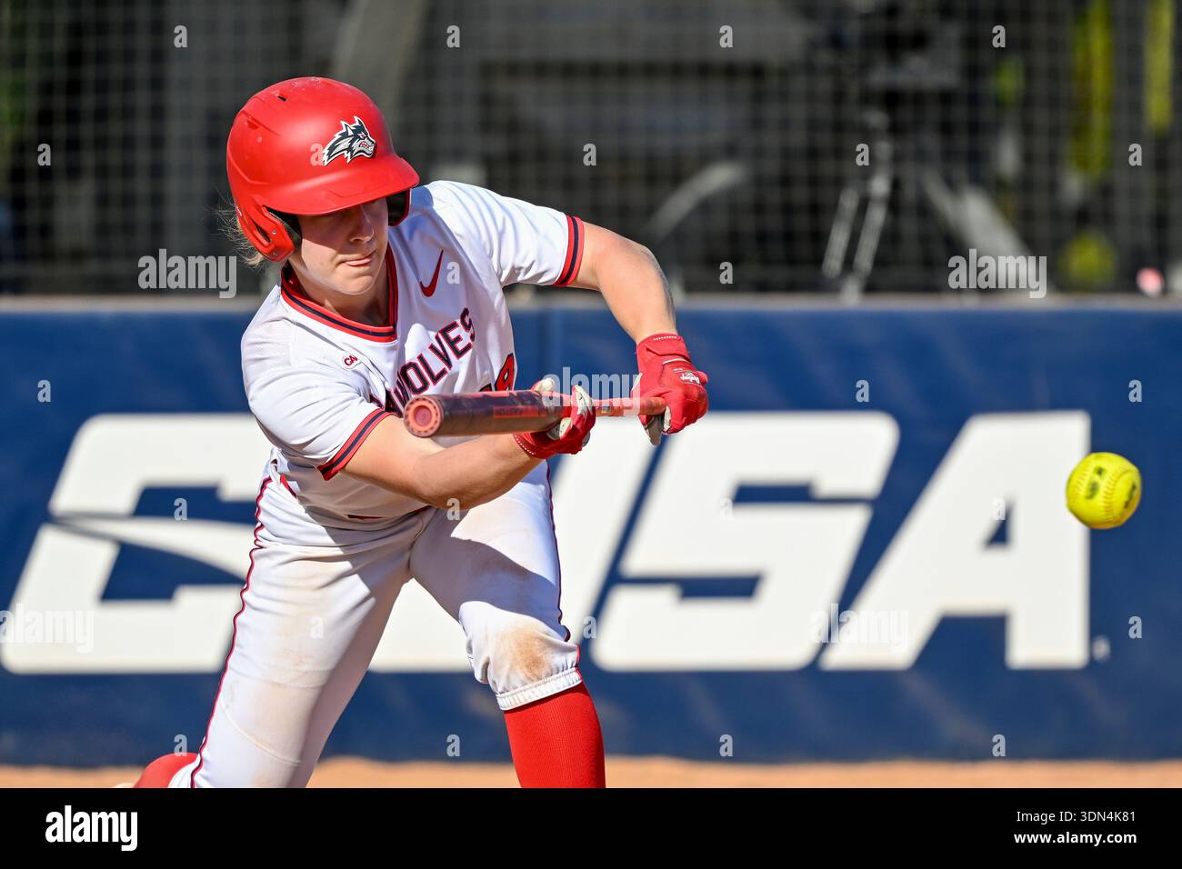 Stony Brook infielder Madelyn Stepski bunts against Lehigh during an ...