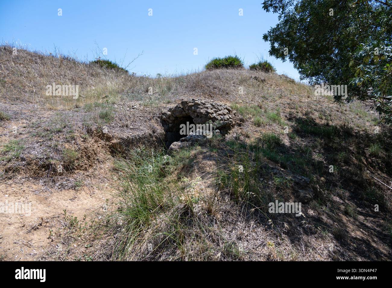 An ancient roman stone aqueduct structure partially covered by grass ...