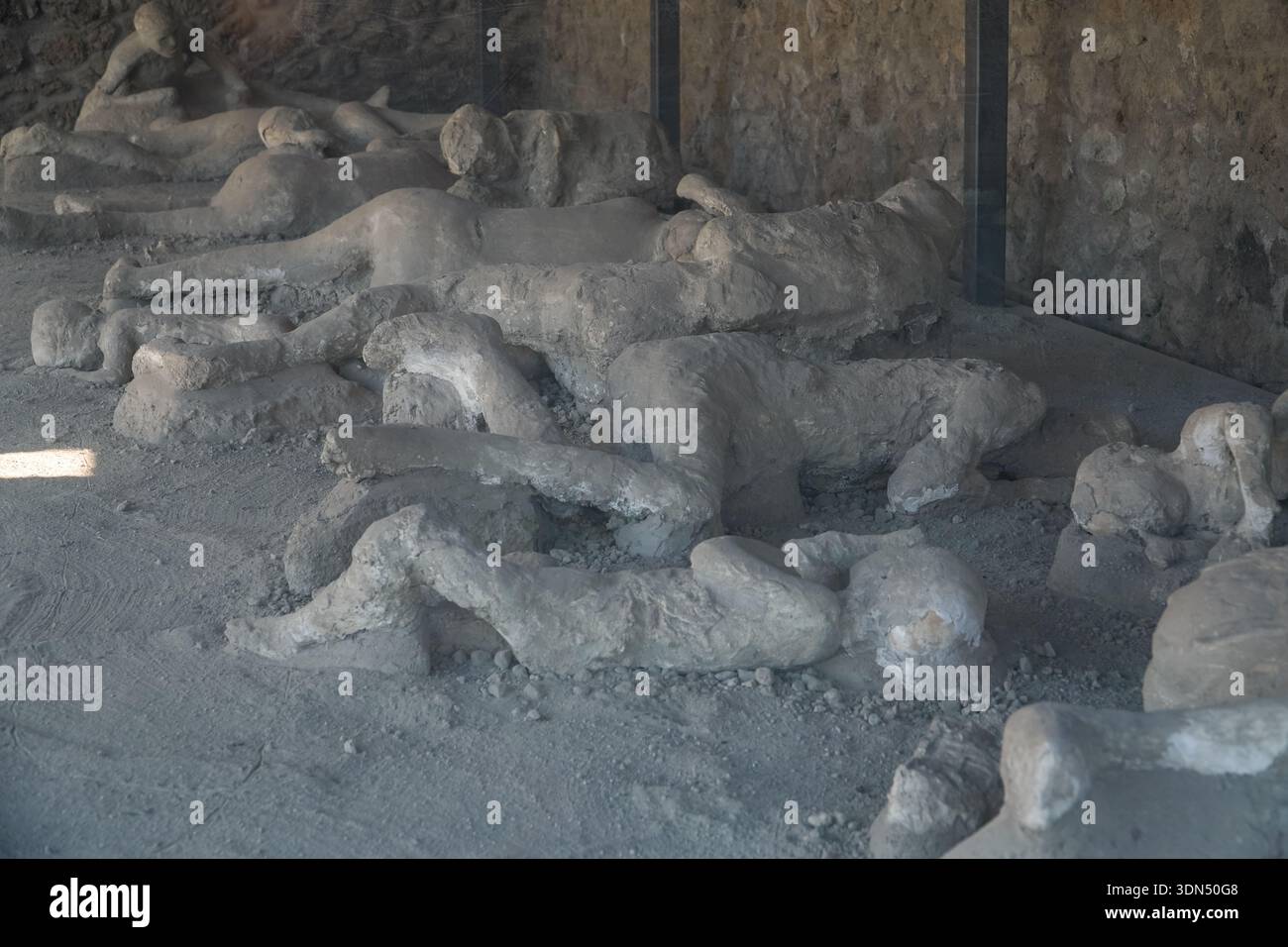 Garden Of The Fugitives Orto Dei Fuggiaschi Plaster Casts Displaying 