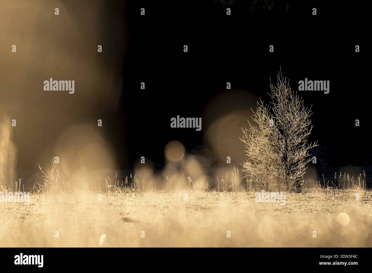 Archip hi-res stock photography and images - Alamy