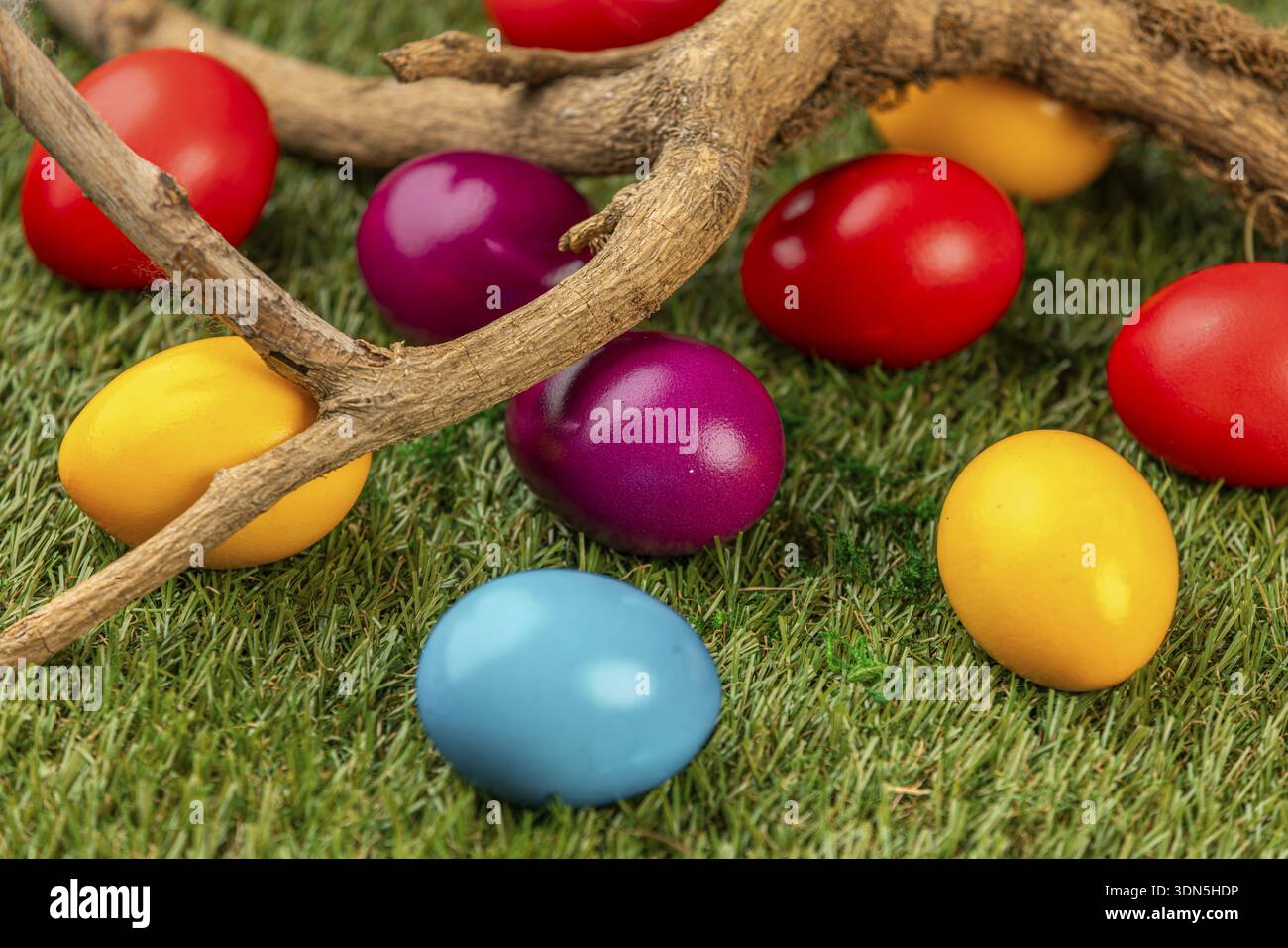 Colourful easter eggs and natural branches on green grass Stock Photo
