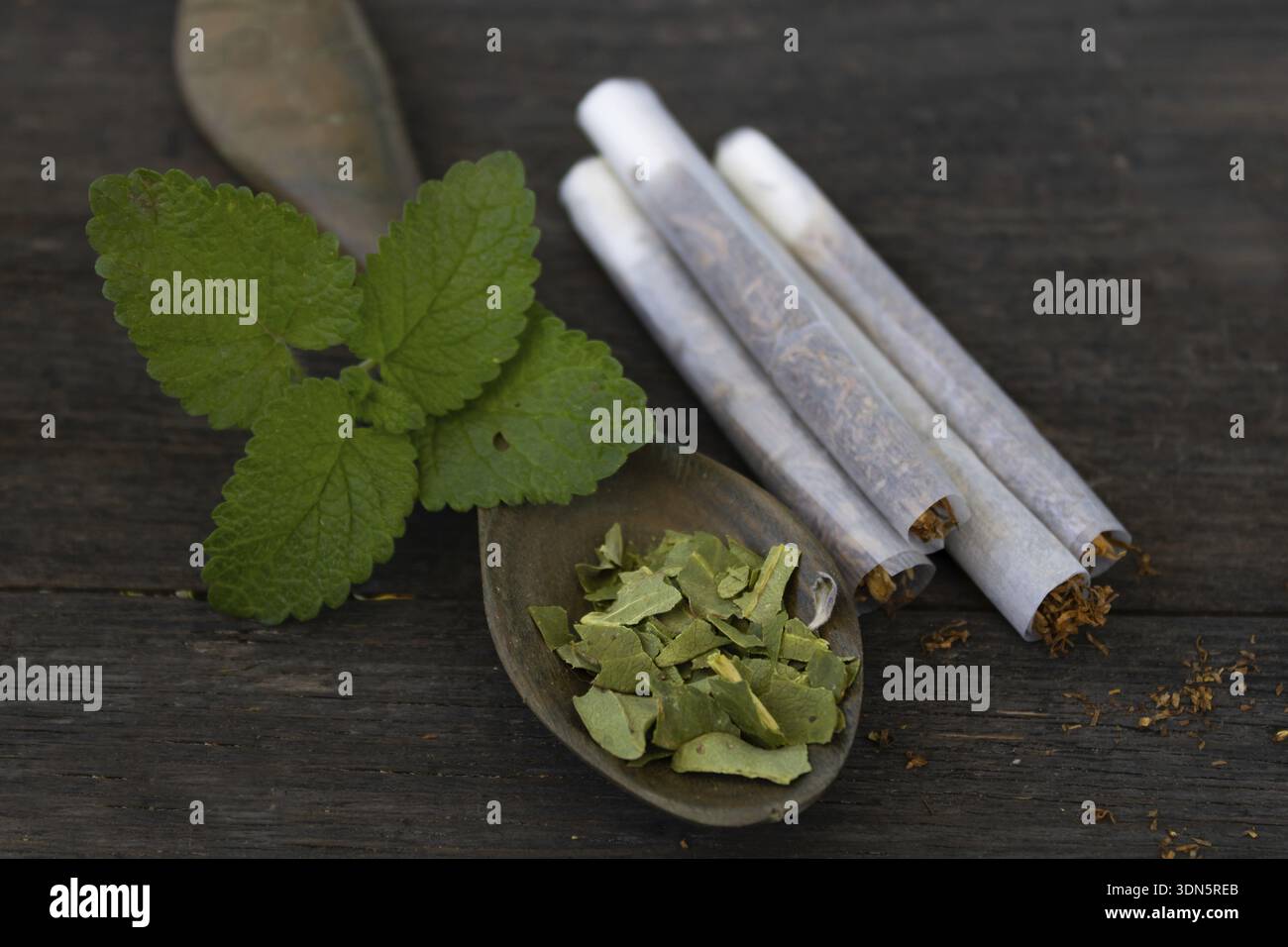 herbal cigarettes mint Medicinal herbal cigarettes with mint on rustic background Stock Photo