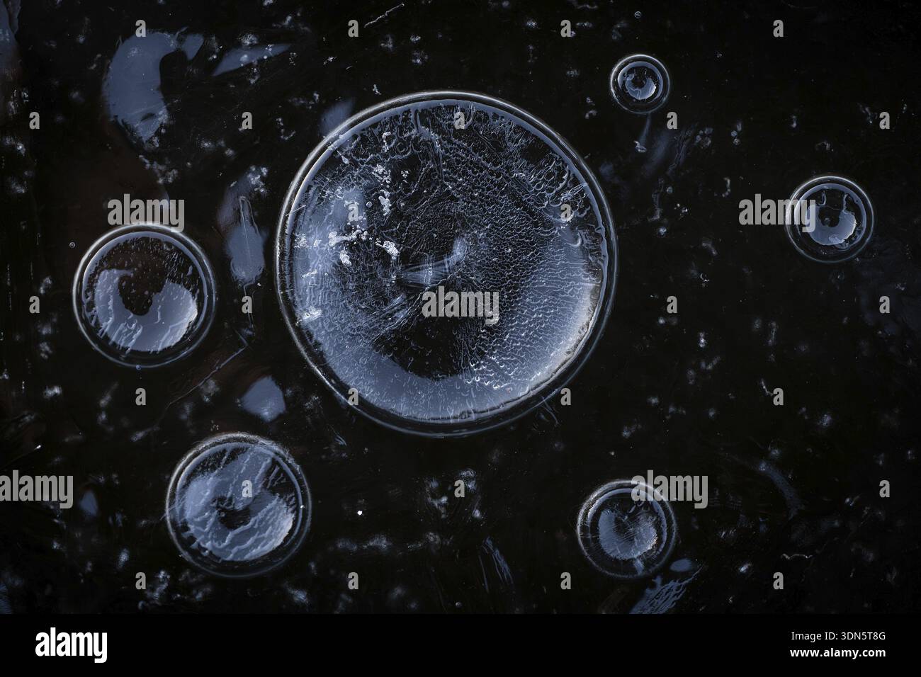 Abstract circular structures formed by air bubbles in the ice against a ...
