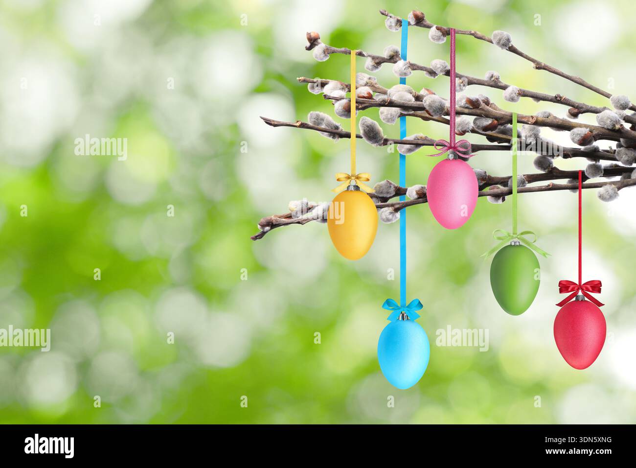 Easter eggs hanging from willow branches outdoors Stock Photo