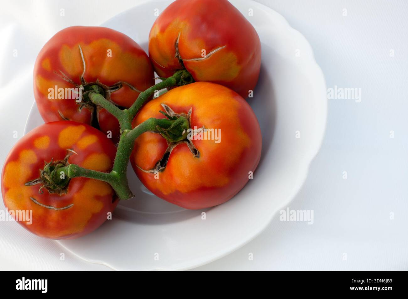 Delicious red tomatoes, isolated on white background Stock Photo