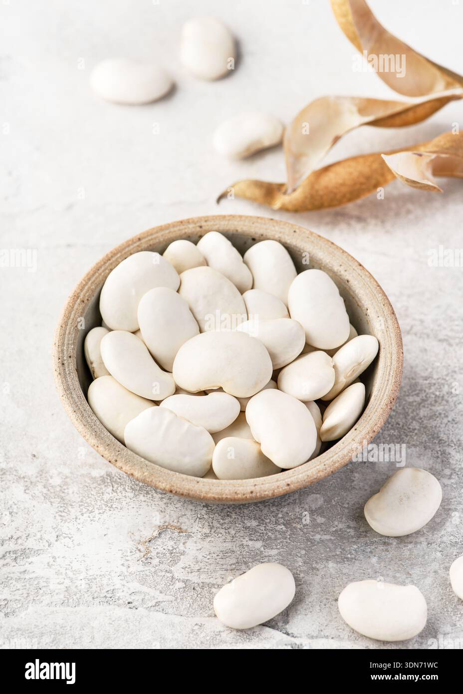 Phaseolus coccineus plant hi-res stock photography and images - Alamy