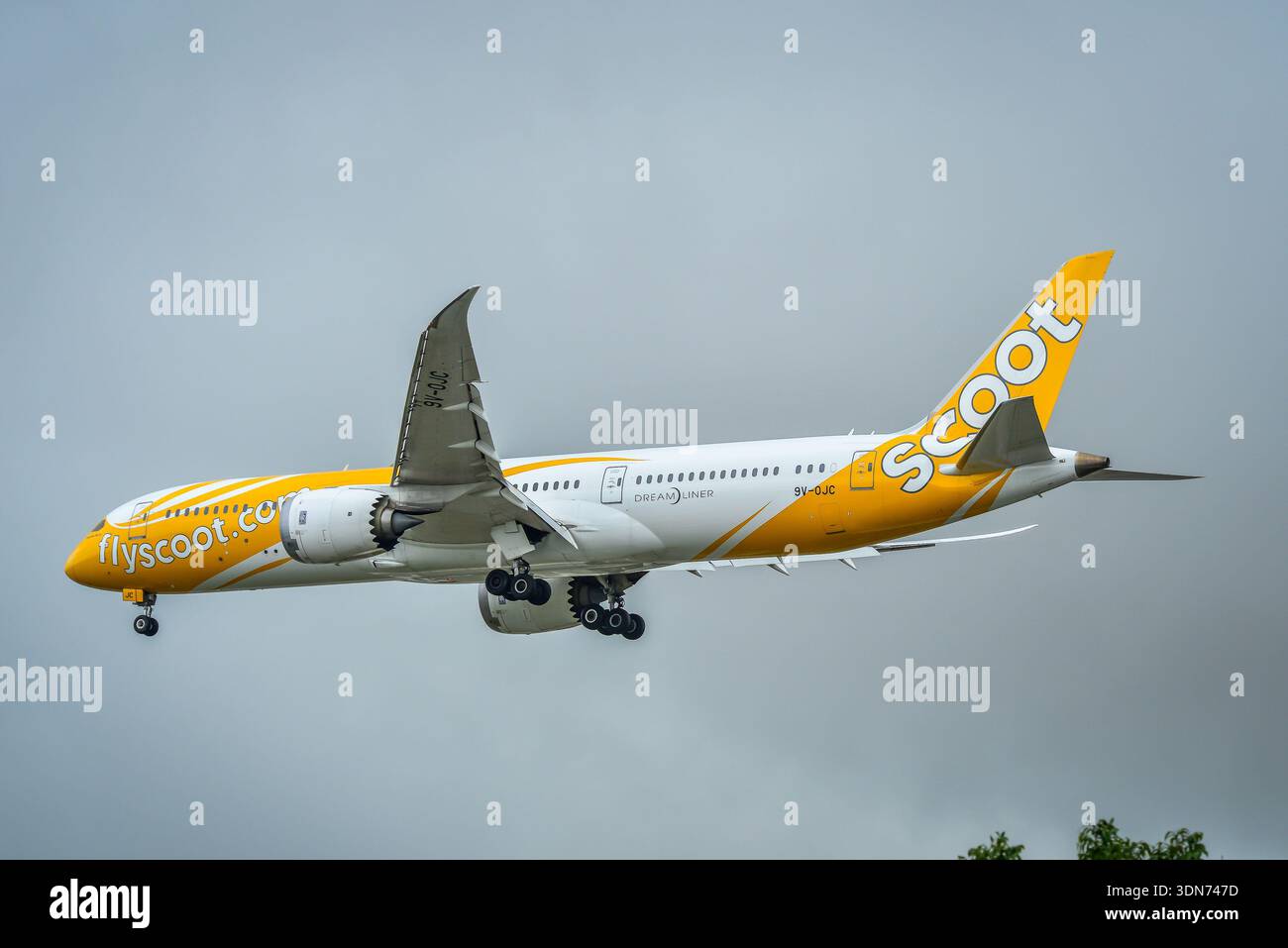 Scoot aircraft hi-res stock photography and images - Page 4 - Alamy