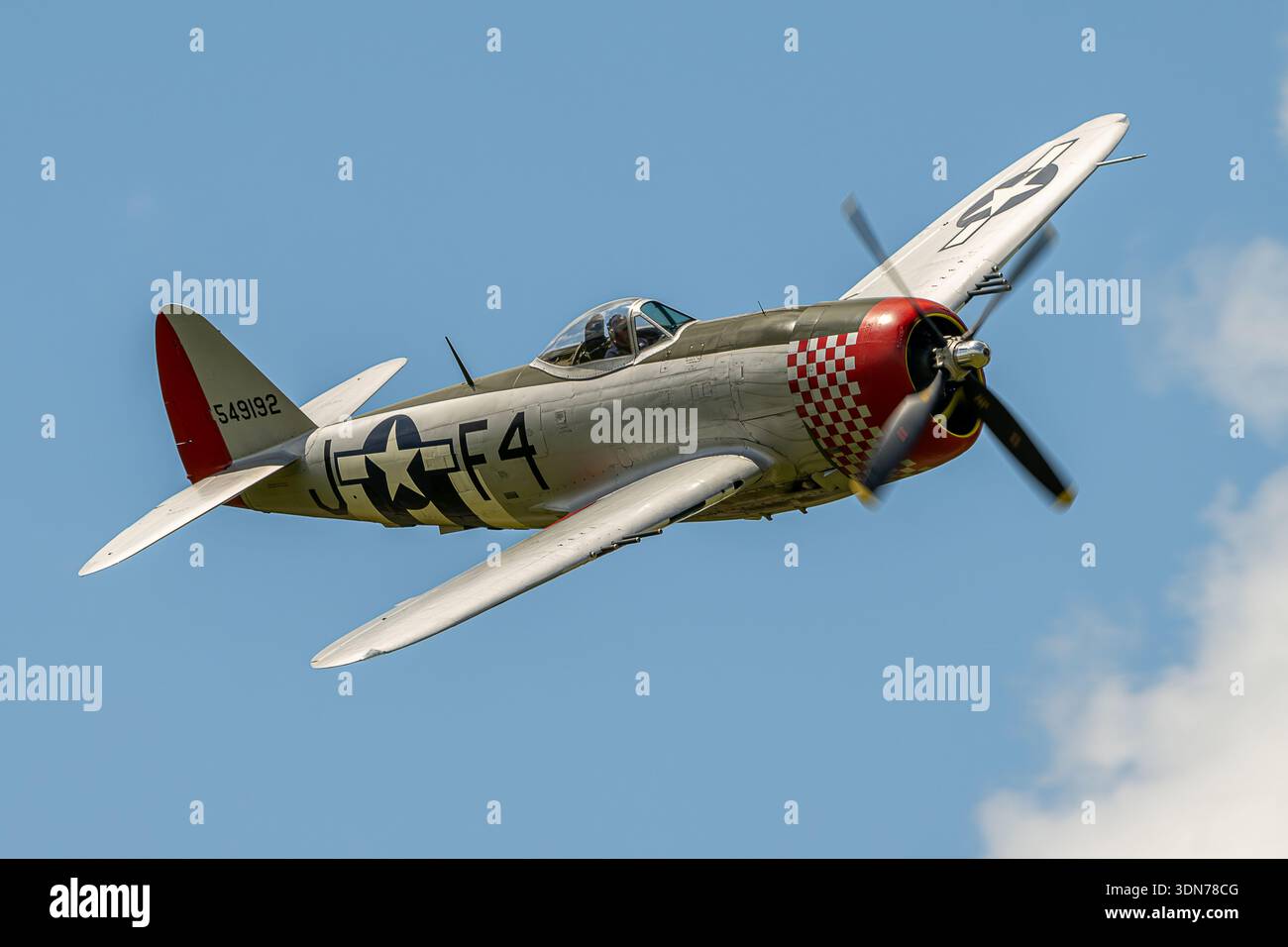 Republic P-47D Thunderbolt 'Nellie B' Stock Photo