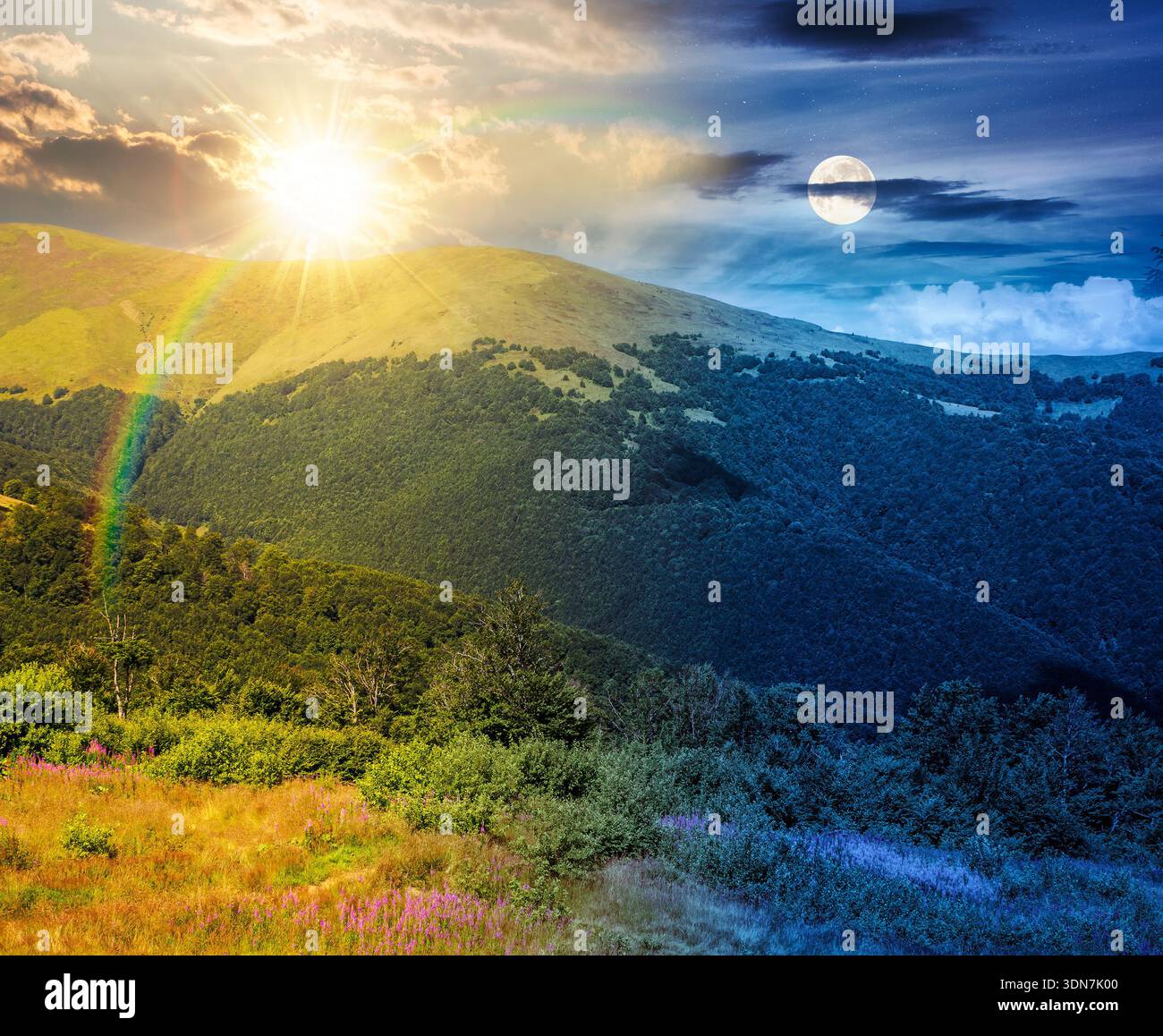 beautiful mountain landscape in summer. day and night time change concept. scenic view of green grassy hills with alpine forest with sun and moon at t Stock Photo
