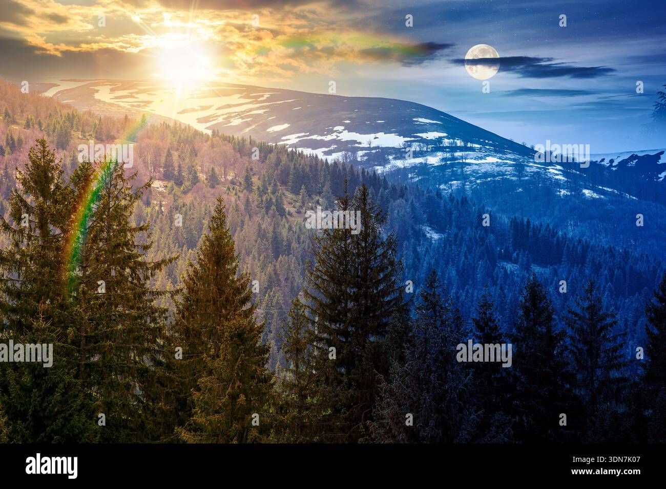 coniferous forest in mountain landscape in spring. day and night time change concept. lush green nature environment under sky with sun and moon. view Stock Photo