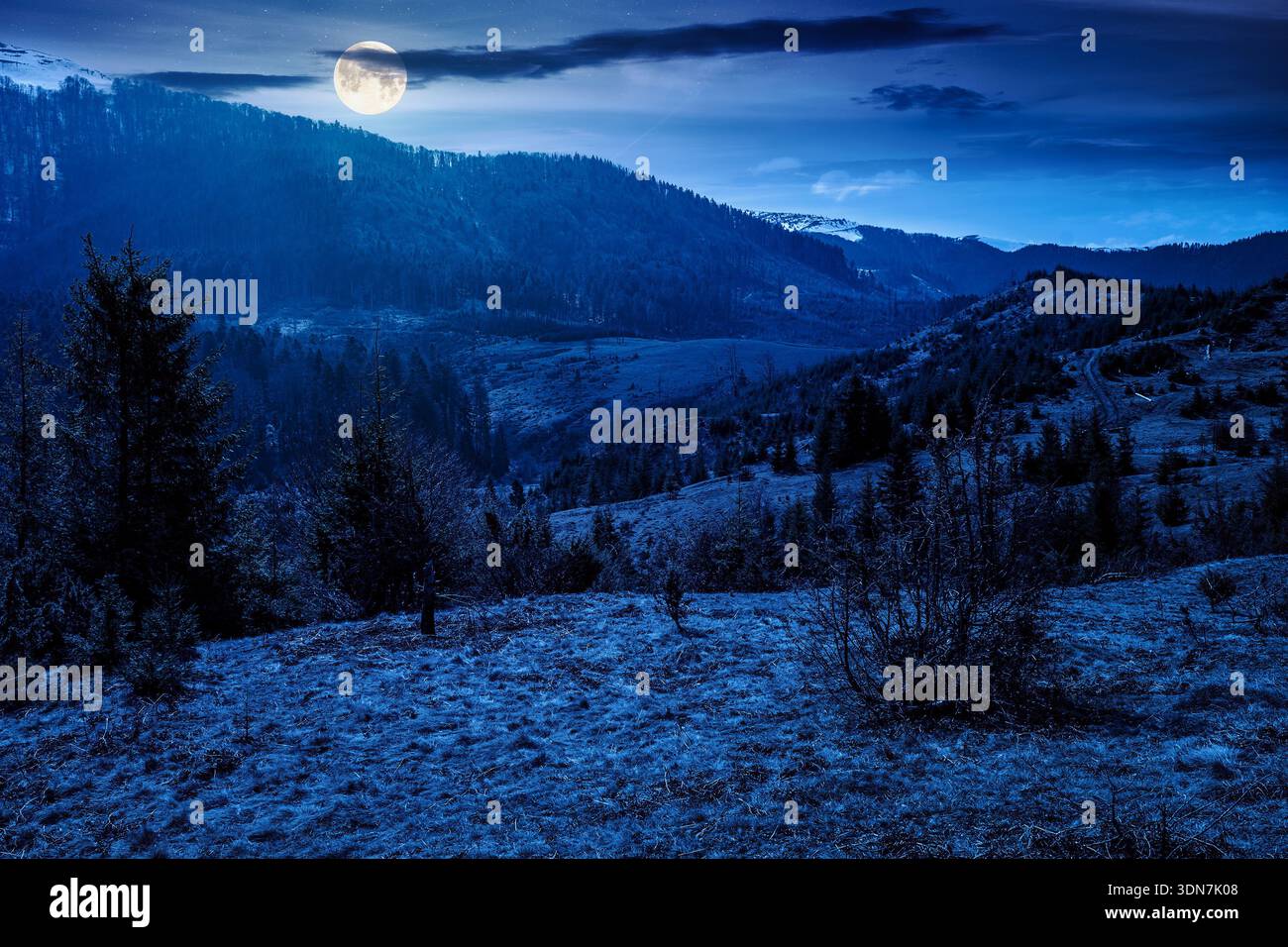 carpathian mountains in early spring at night. tree stumps on rolling hills in full moon light. forest clearing. deforestation landscape under blue sk Stock Photo