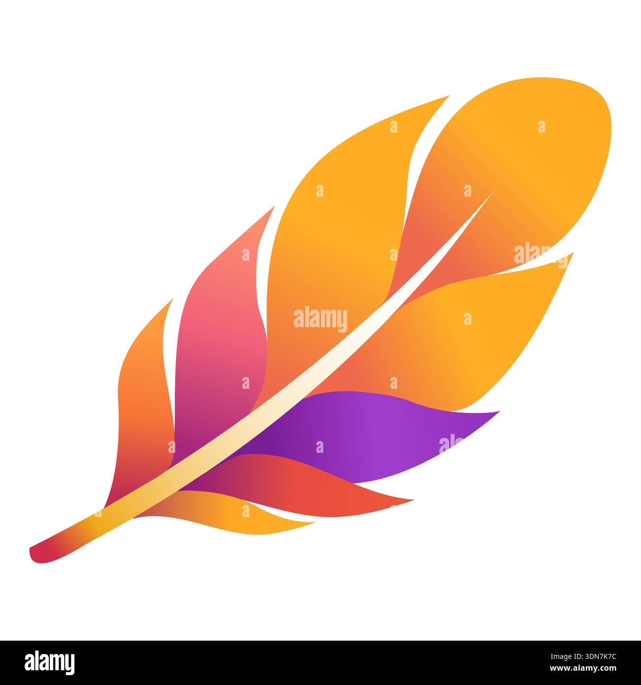 Colorful feather design on a white background Stock Vector