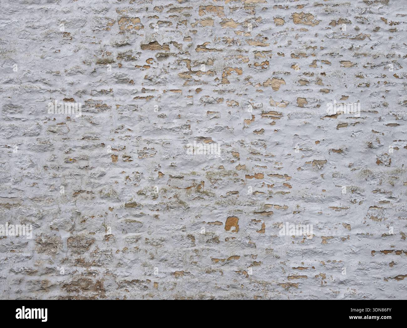 Weathered wall surface showing age and texture. Stock Photo