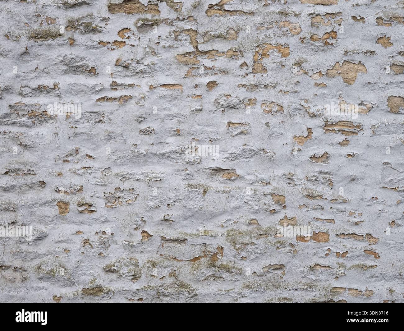 Vintage limewashed masonry close up. Stock Photo