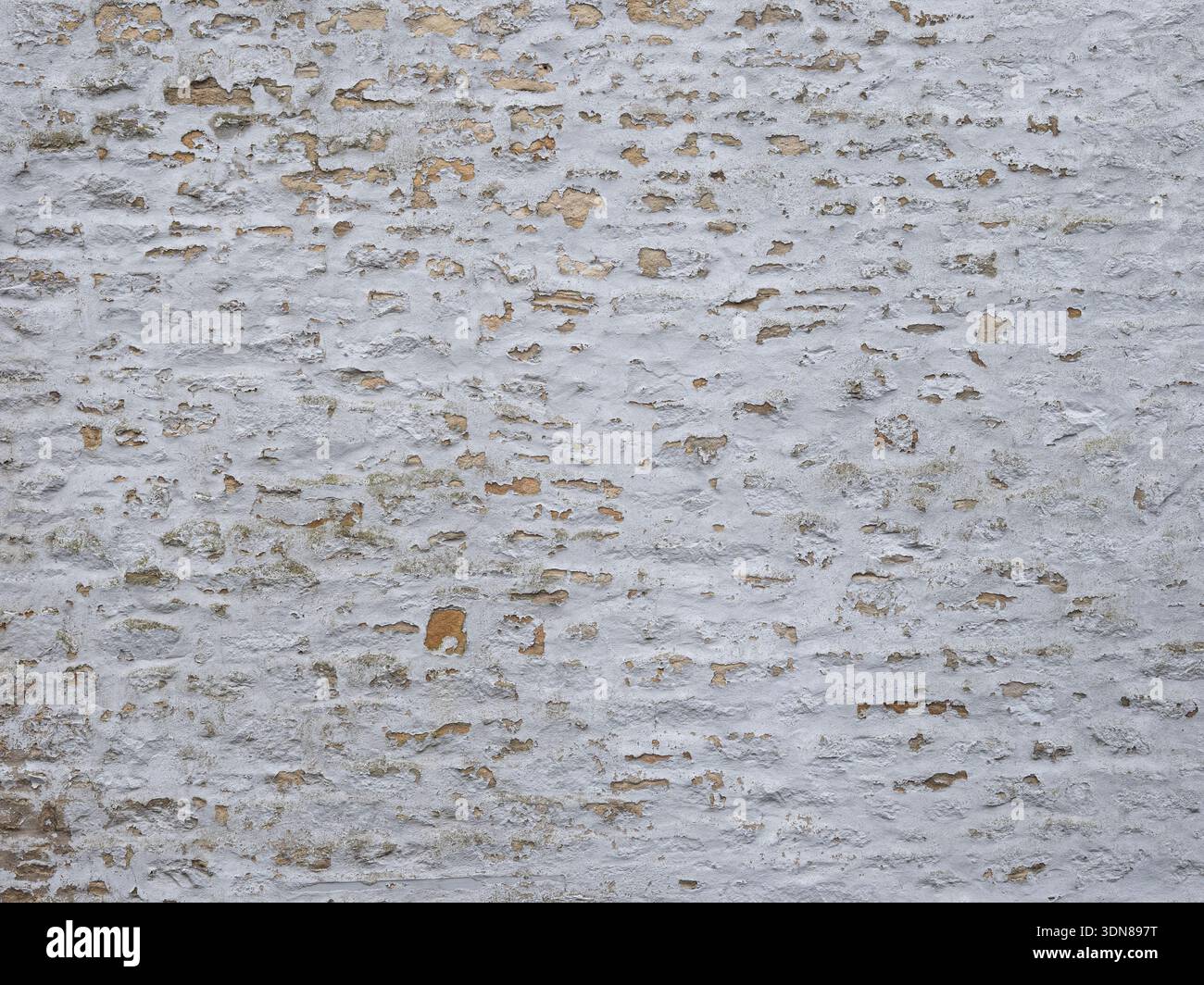 Vintage limewashed masonry wall Big design Stock Photo