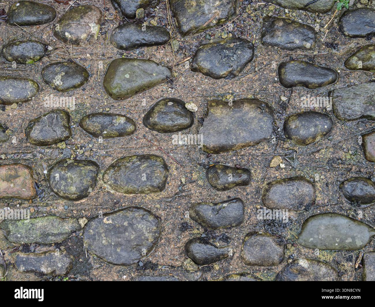 Historic cobbled path creating a natural ground background. Stock Photo
