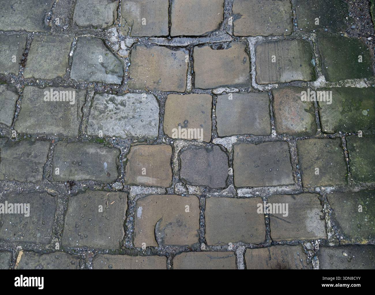 Historic cobbled path creating a natural ground background. Stock Photo