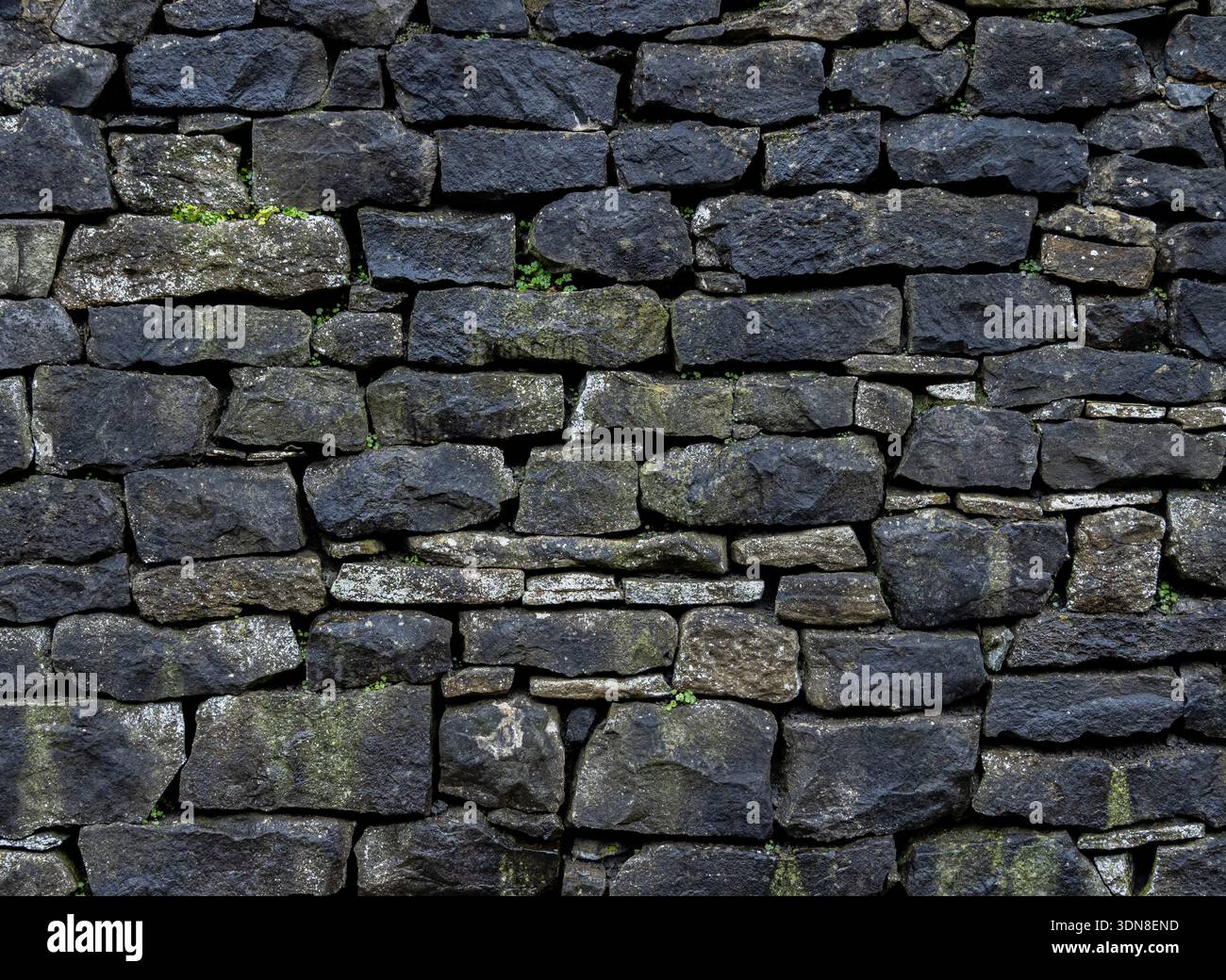 Historic Limestone with Natural Black Staining Stock Photo