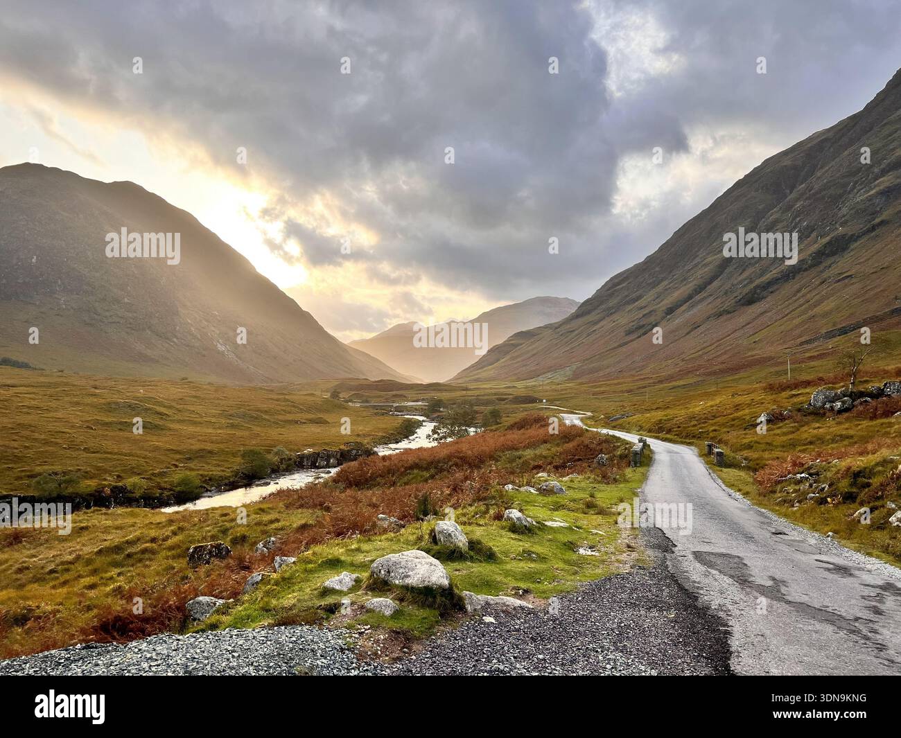 Skyfall road in autumn - Smartphone Captured Stock Image