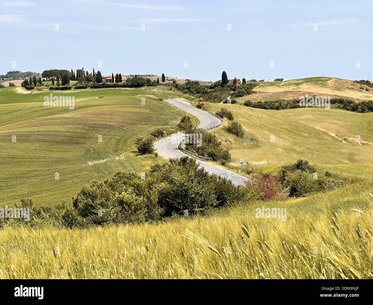Winding Country Road Through Green Rolling Hills in a Serene Rural Landscape - Smartphone Captured Stock Image