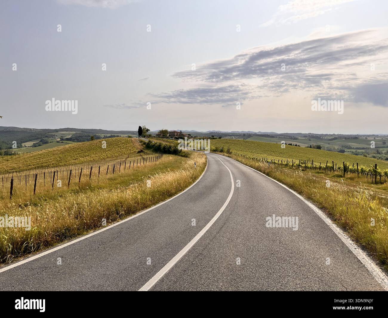 Scenic Vineyard Road Through Rolling Countryside - Smartphone Captured Stock Image