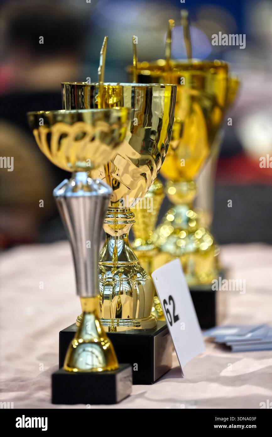 Golden Trophies Lined Up for an Awards Ceremony Stock Photo
