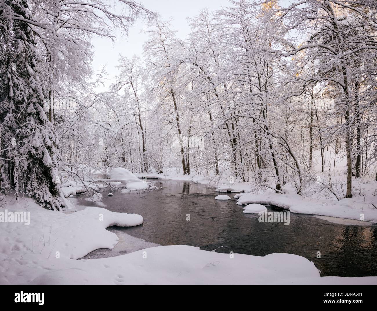 Espoo, Finland - December 31, 2023: Picturesque view of a flowing river in a snow-covered forest during winter sunset. Stock Photo