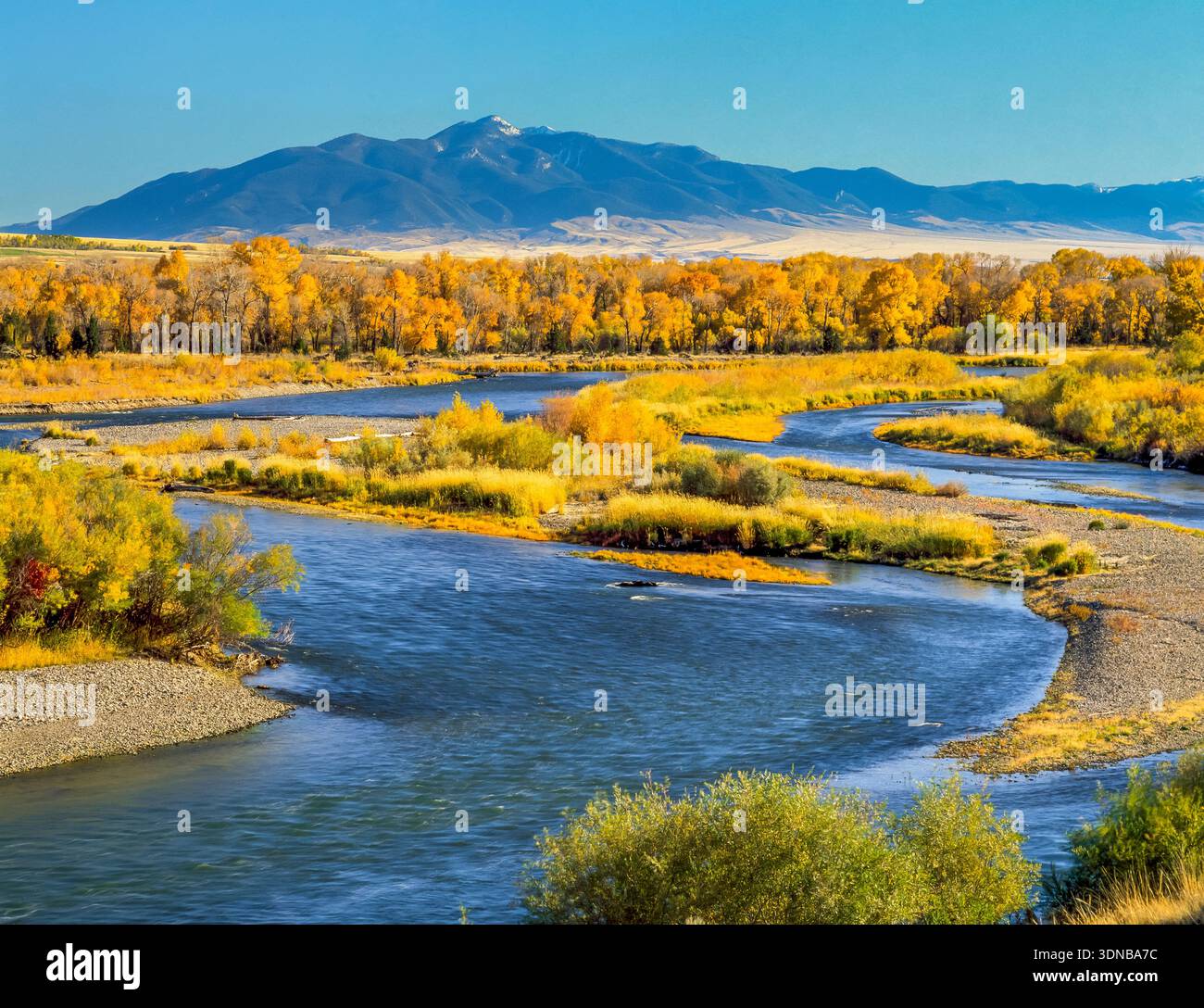 fall colors along the jefferson river below the ruby mountains near twin bridges, montana Stock Photo