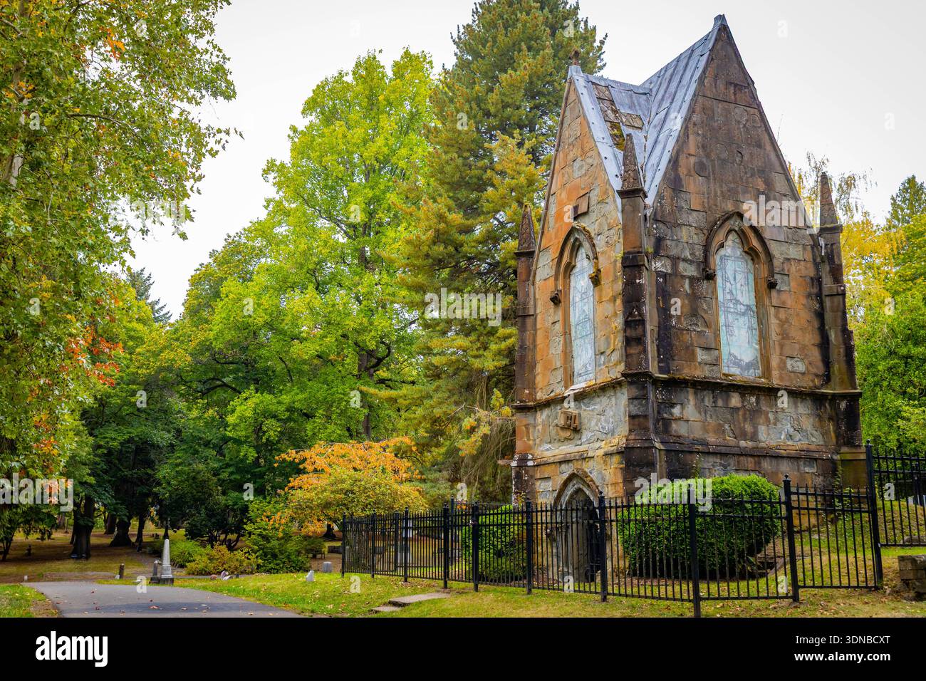 Historic headstones stand among the trees displaying colorful autumn foliage in the serene landscape of Lone Fir Cemetery Stock Photo