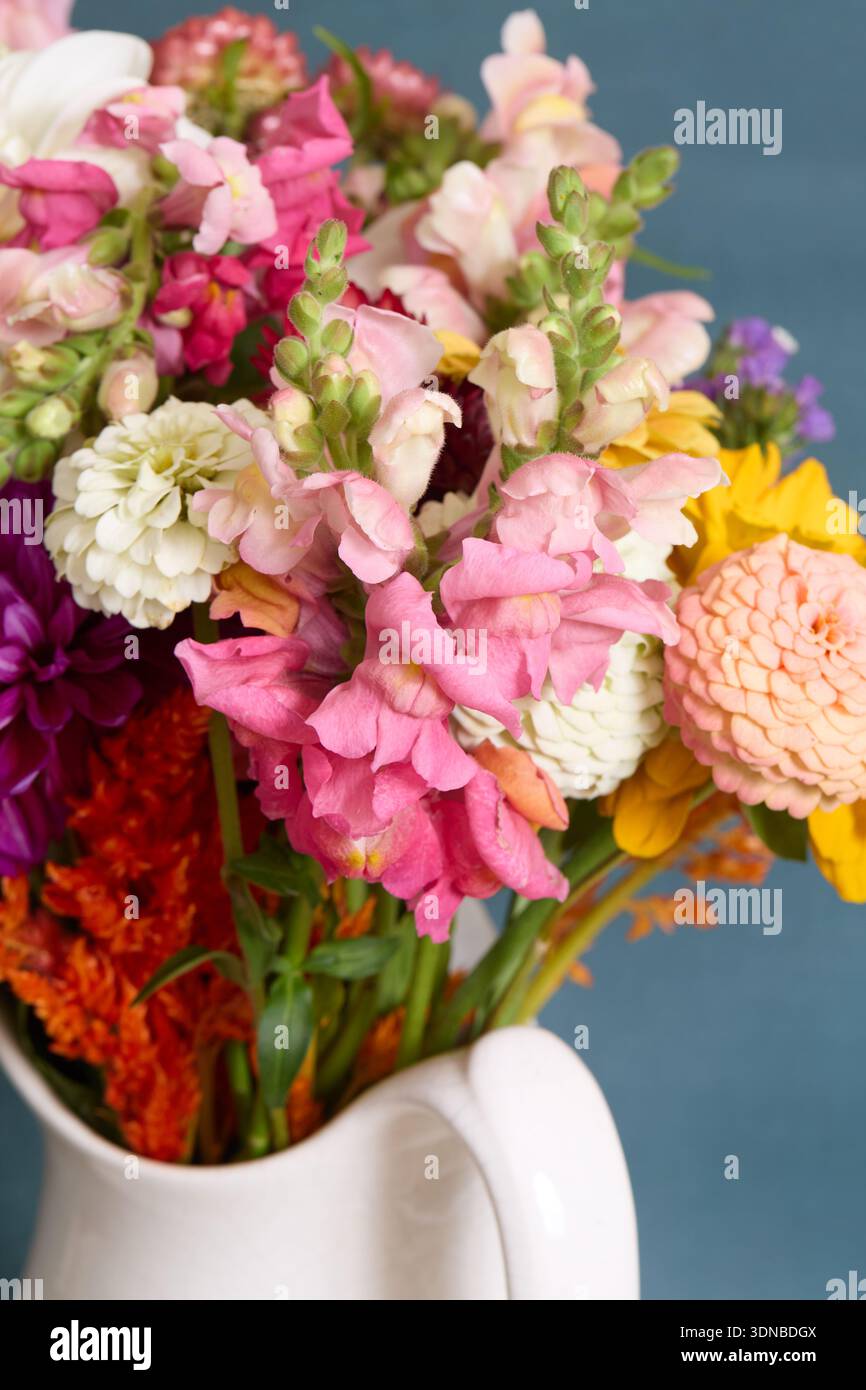 Still life on simple background with copy space for design Stock Photo