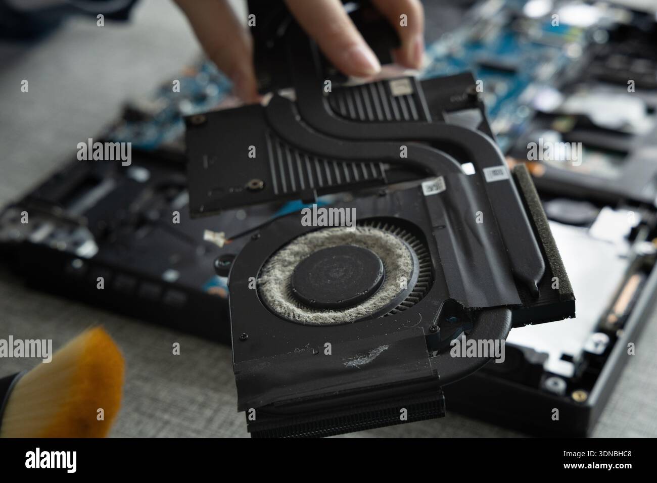 A person holds a graphics card while cleaning dust from its fan. They are working on a laptop opened on a table. Stock Photo