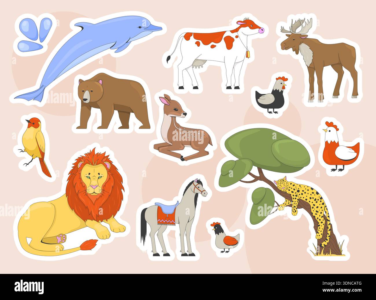 Collage wild animals birds hi-res stock photography and images - Alamy