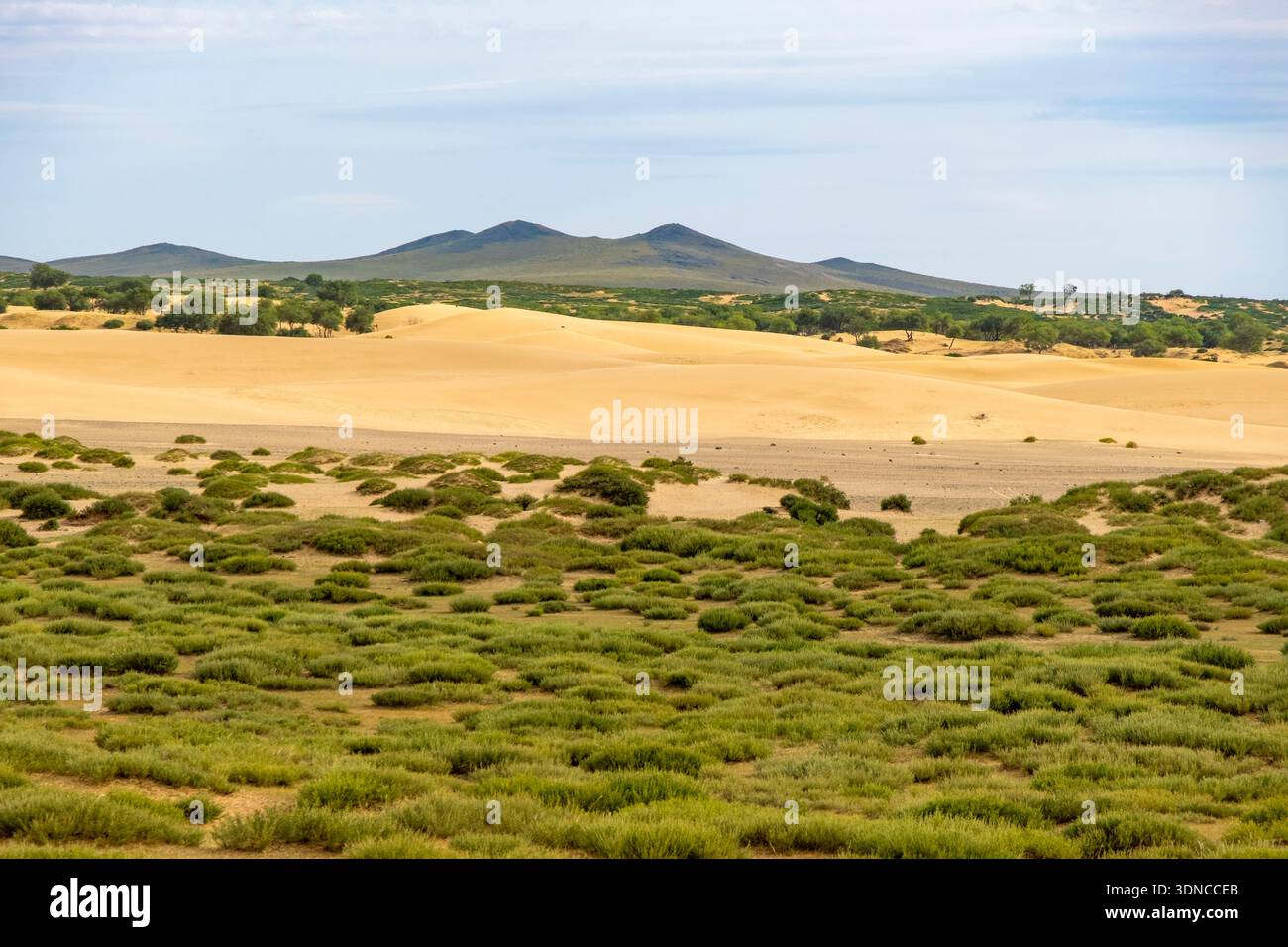 Asia hi-res stock photography and images - Alamy