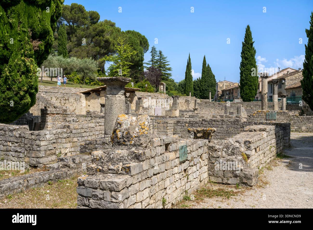 France, Vaucluse, Vaison la Romaine, Puymin archaeological site, a domus ruin Stock Photo