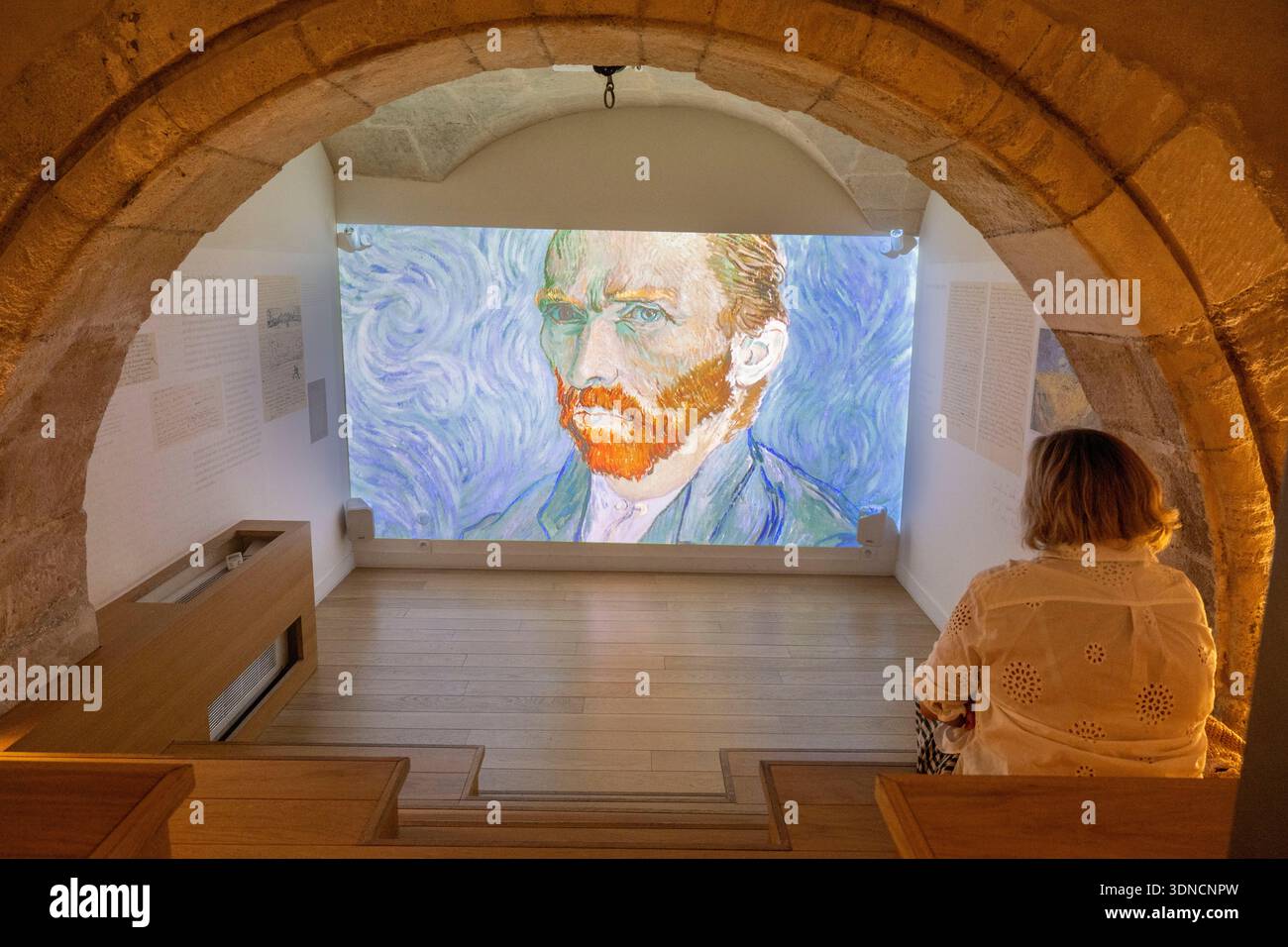 France, Bouches du Rhone, Regional Natural Park of the Alpilles, Saint Remy de Provence, Estrine Museum, presentation of Van Gogh Stock Photo