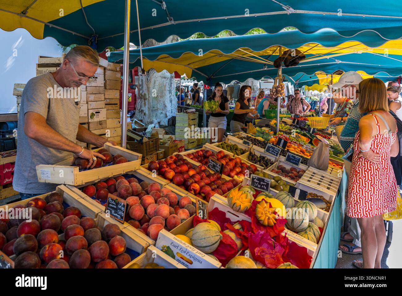 France, Bouches du Rhone, Regional Natural Park of the Alpilles, Saint Remy de Provence, fruit stall on the market place Jules Pellissier Stock Photo