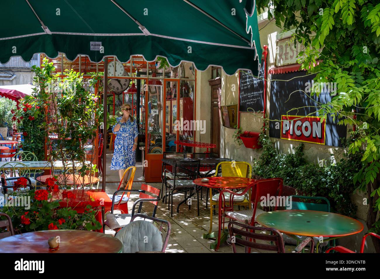France, Bouches du Rhone, Regional Natural Park of the Alpilles, Saint Remy de Provence, terrace of the restaurant Le Bistrot de Marie, an address appreciated by Charles Aznavour Stock Photo