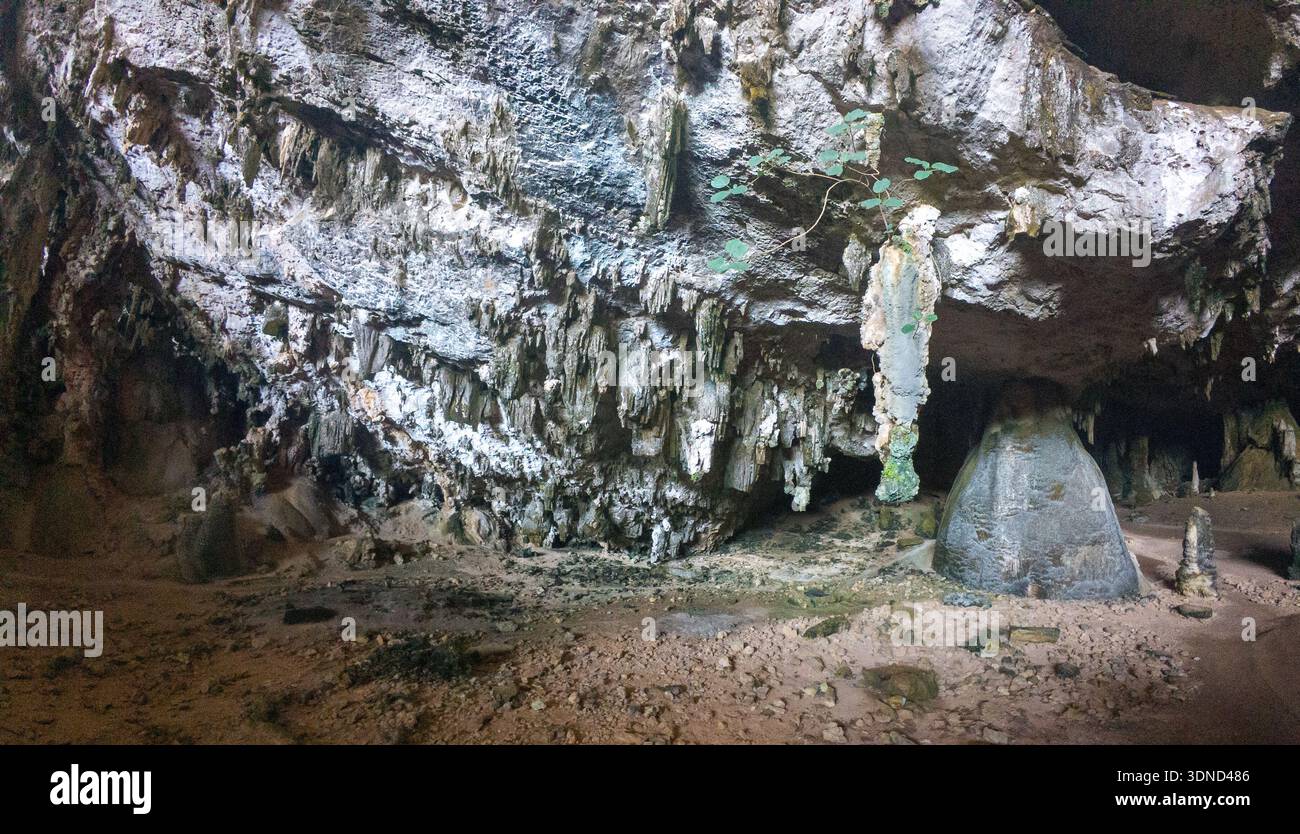 Interior of a limestone cave with stalactites, rocky floor, and a 