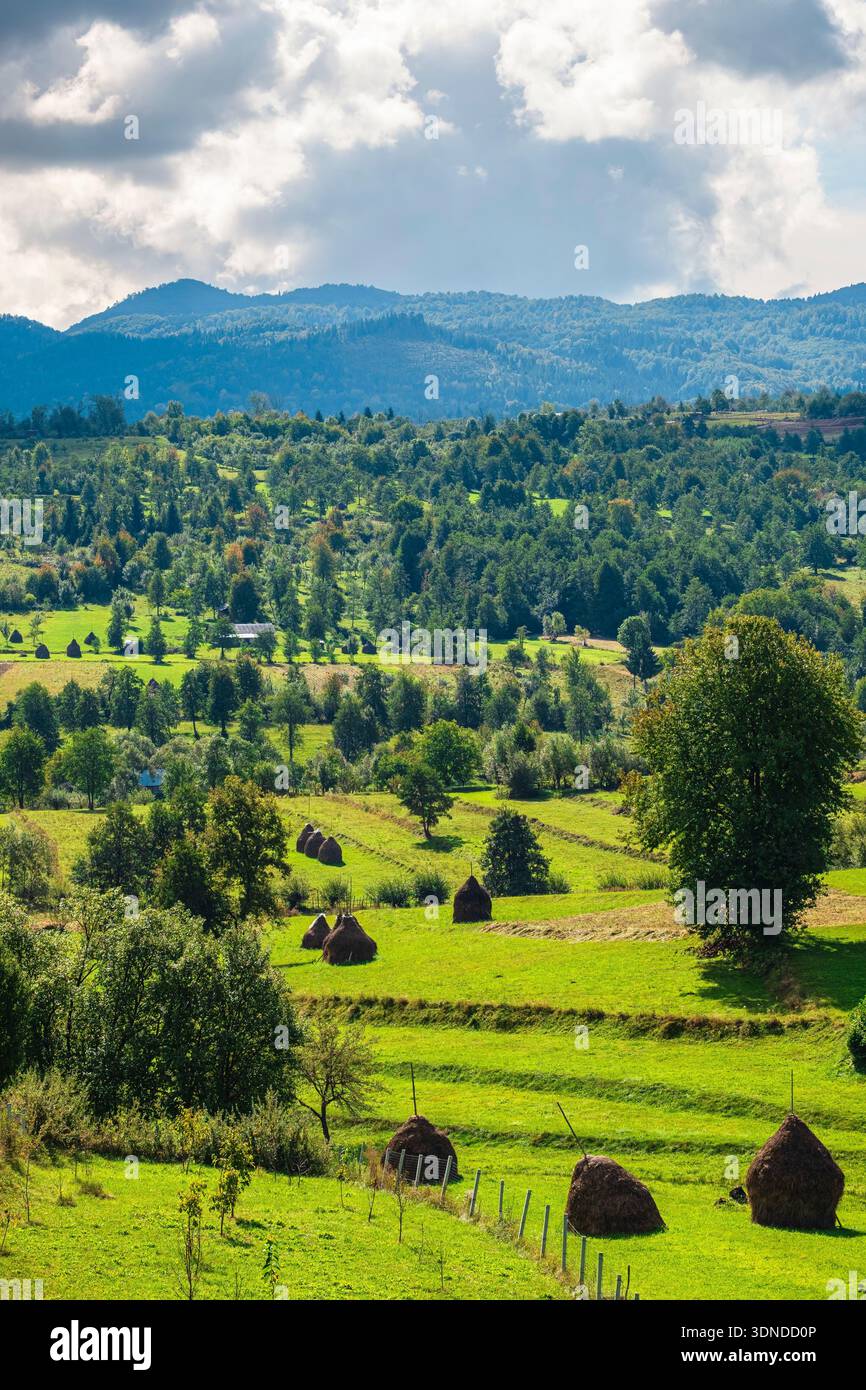 Romania, Maramures region, countryside in the surroundings of Breb Stock Photo