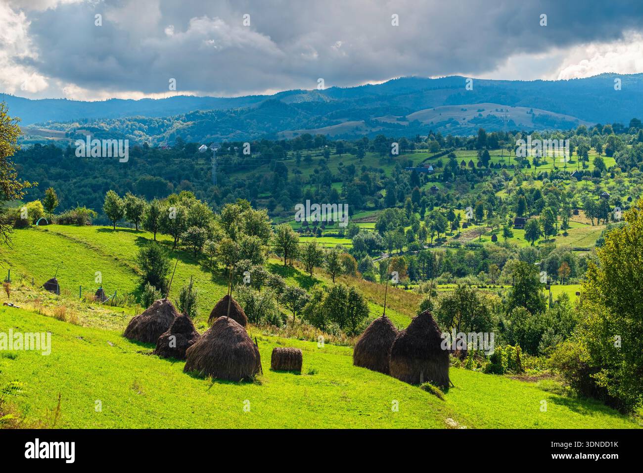 Romania, Maramures region, countryside in the surroundings of Breb Stock Photo