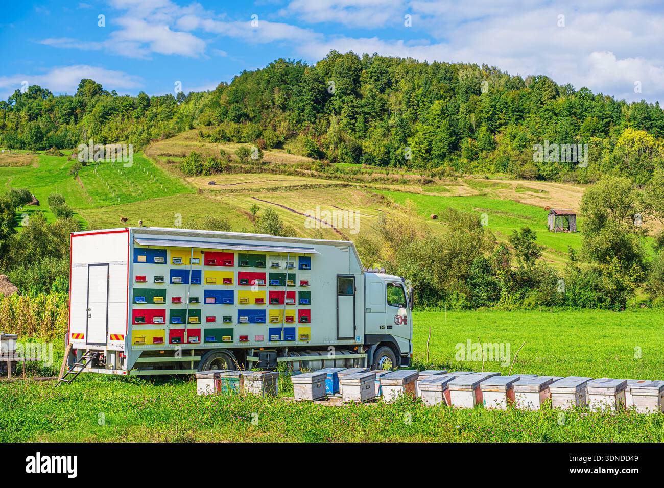 Romania, Maramures region, Valeni, beekeeping tradition of transhumance of hives Stock Photo