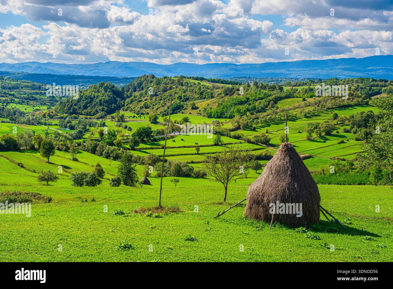 Romania, Maramures region, countryside in the surroundings of Valeni Stock Photo