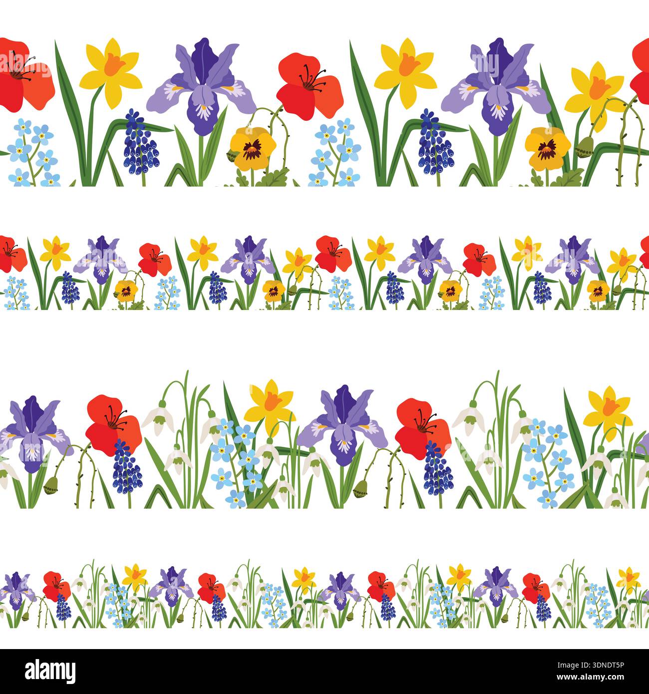 Seamless horizontal floral borders set featuring vibrant spring flowers like tulips, irises, daffodils, snowdrops and forget-me-nots. This colorful il Stock Vector