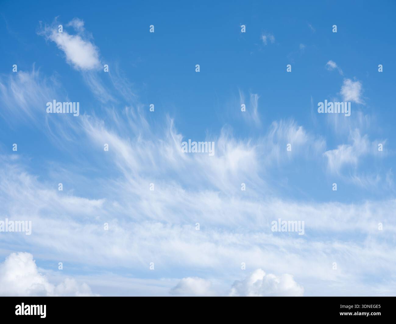 White clouds in spring stretched against a blue sky Stock Photo