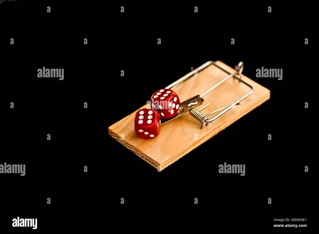Dice on mouse trap Stock Photo